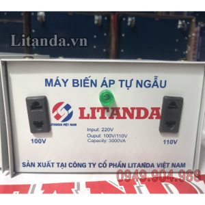 may-bien-ap-tu-ngau-litanda-3000va